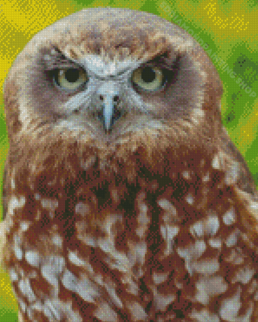 Ninoxe Boobook Owl Diamond Painting