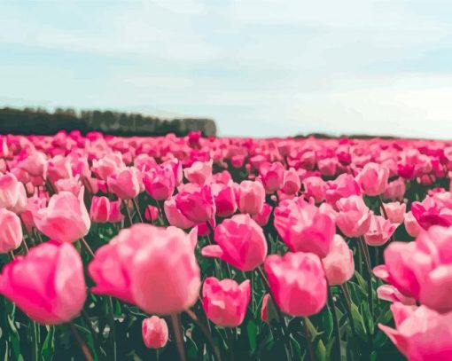 Pink Tulips Flowers In Field Diamond Painting