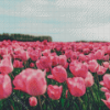 Pink Tulips Flowers In Field Diamond Painting