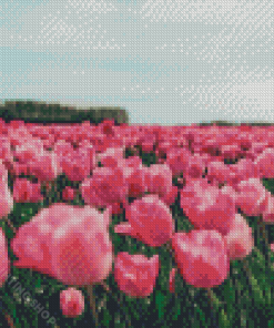 Pink Tulips Flowers In Field Diamond Painting