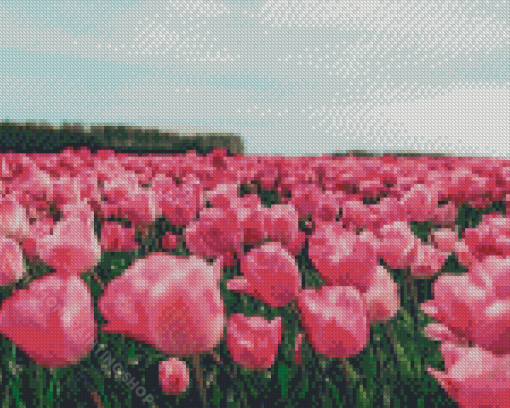 Pink Tulips Flowers In Field Diamond Painting