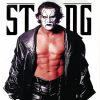 Sting Steve Borden Diamond Painting