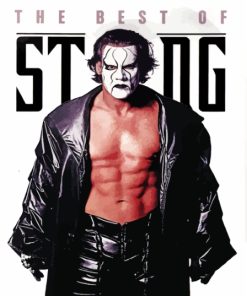 Sting Steve Borden Diamond Painting