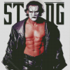 Sting Steve Borden Diamond Painting