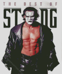 Sting Steve Borden Diamond Painting