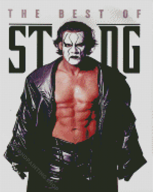 Sting Steve Borden Diamond Painting