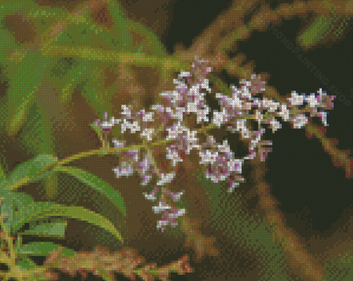 Aloysia Flowers Diamond Painting