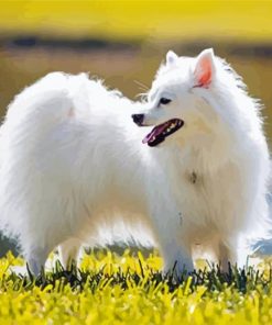 American Eskimo Diamond Painting