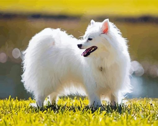 American Eskimo Diamond Painting