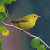 American Yellow Warbler Bird On Tree Stick Diamond Paintings