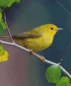 American Yellow Warbler Bird On Tree Stick Diamond Paintings