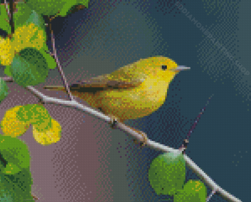 American Yellow Warbler Bird On Tree Stick Diamond Paintings