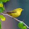 American Yellow Warbler Bird On Tree Stick Diamond Painting