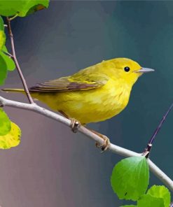 American Yellow Warbler Bird On Tree Stick Diamond Painting