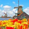 Amsterdam Zaanse Schans Tulips Diamond Painting