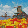 Amsterdam Zaanse Schans Tulips Diamond Painting