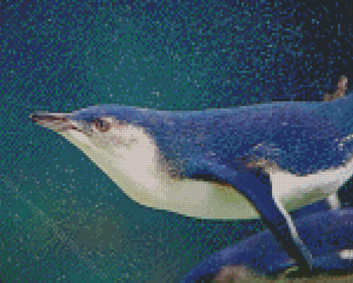 Australian Fairy Penguin Underwater Diamond Painting