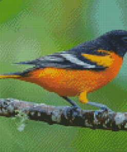 Baltimore Oriole Diamond Painting