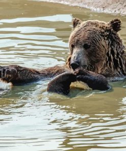 Bear Swimming In Water Diamond Painting