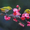 Blossom And Yellow Birds Diamond Painting