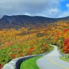 Blue Ridge Mountains Diamond Painting