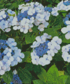 Bluebird Hydrangeas Flowering Plants Diamond Painting