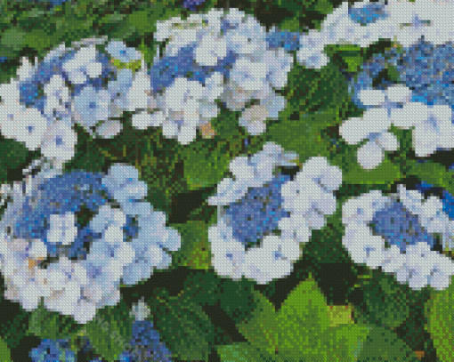 Bluebird Hydrangeas Flowering Plants Diamond Painting