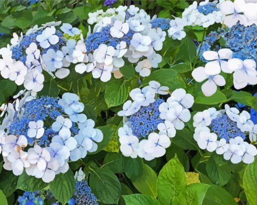 Bluebird Hydrangeas Flowering Plants Diamond Painting