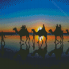 Camels Silhouette At Broome Beach Diamond Painting