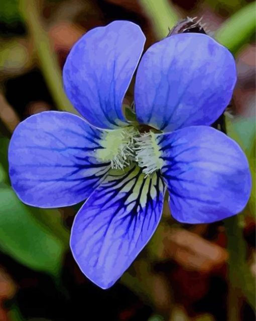 Common Blue Violet Flower Diamond Painting