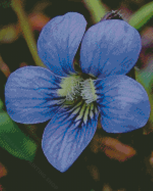 Common Blue Violet Flower Diamond Painting