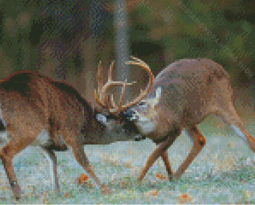 Deer Fighting Diamond Painting