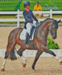 Dressage Horse Show Diamond Painting