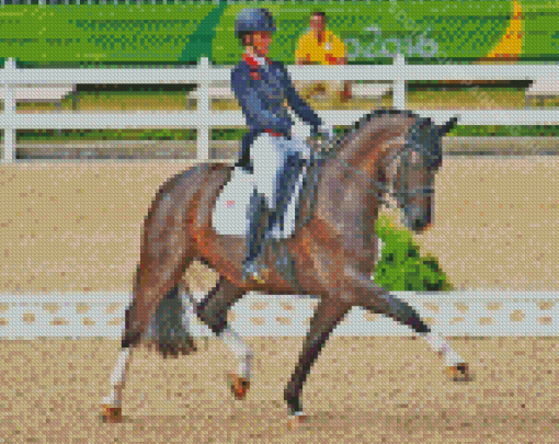 Dressage Horse Show Diamond Painting