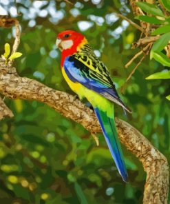 Eastern Rosella On Tree Branch Diamond Painting