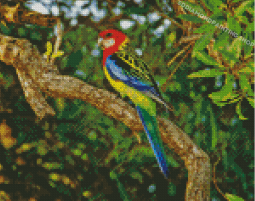 Eastern Rosella On Tree Branch Diamond Painting