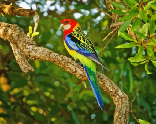 Eastern Rosella On Tree Branch Diamond Painting