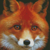 Fox Orange Face Diamond Painting