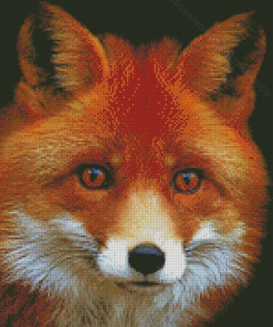 Fox Orange Face Diamond Painting