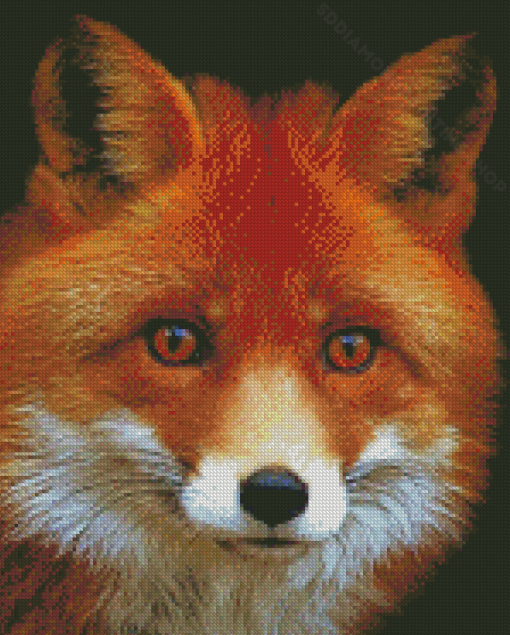 Fox Orange Face Diamond Painting