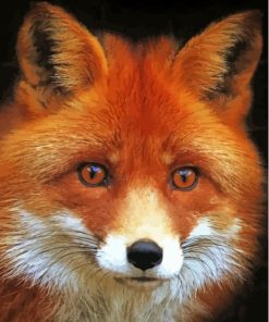 Fox Orange Face Diamond Painting