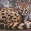 Genet Animal Diamond Painting