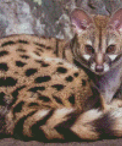 Genet Animal Diamond Painting