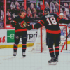 Ottawa Senators Players Diamond Painting