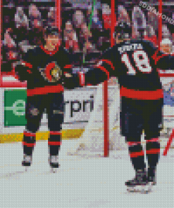 Ottawa Senators Players Diamond Painting