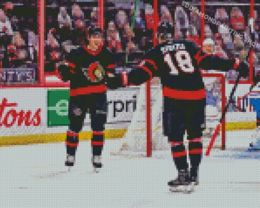 Ottawa Senators Players Diamond Painting