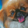 Pekingese Cute Face Diamond Painting