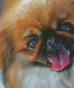 Pekingese Cute Face Diamond Painting