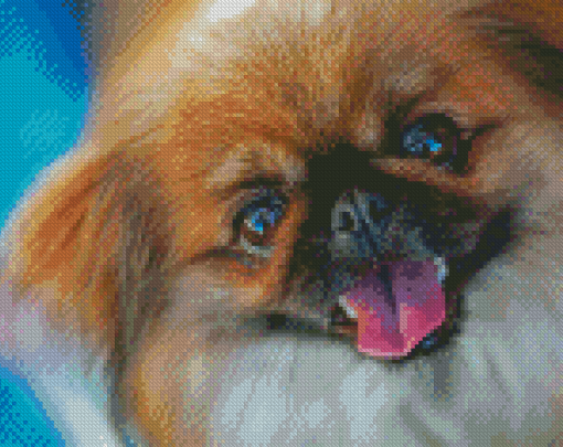 Pekingese Cute Face Diamond Painting