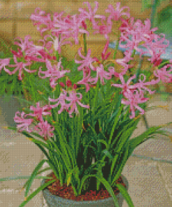 Pink Nerine Plant Pot Diamond Painting